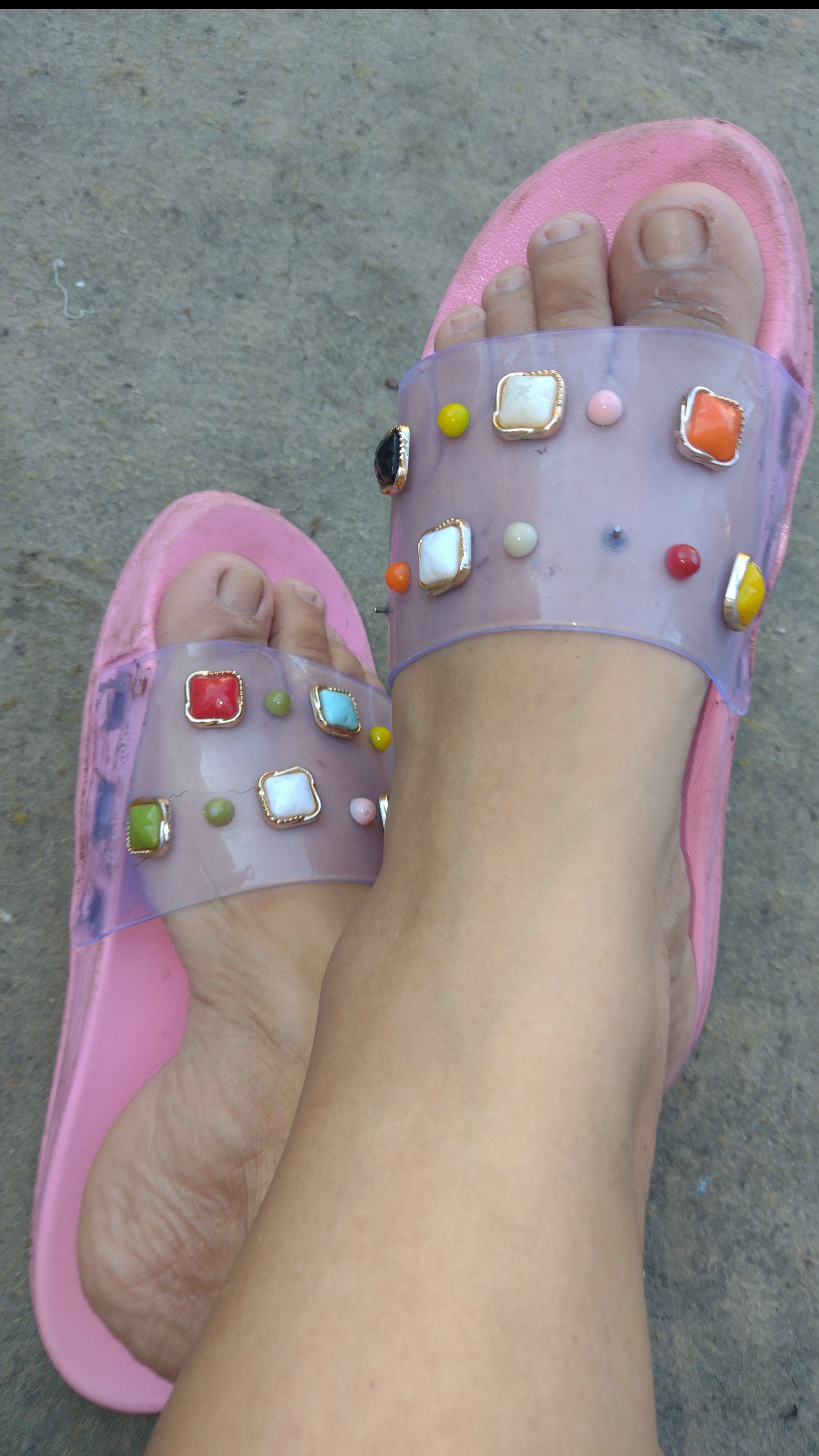 ninfomanaypies