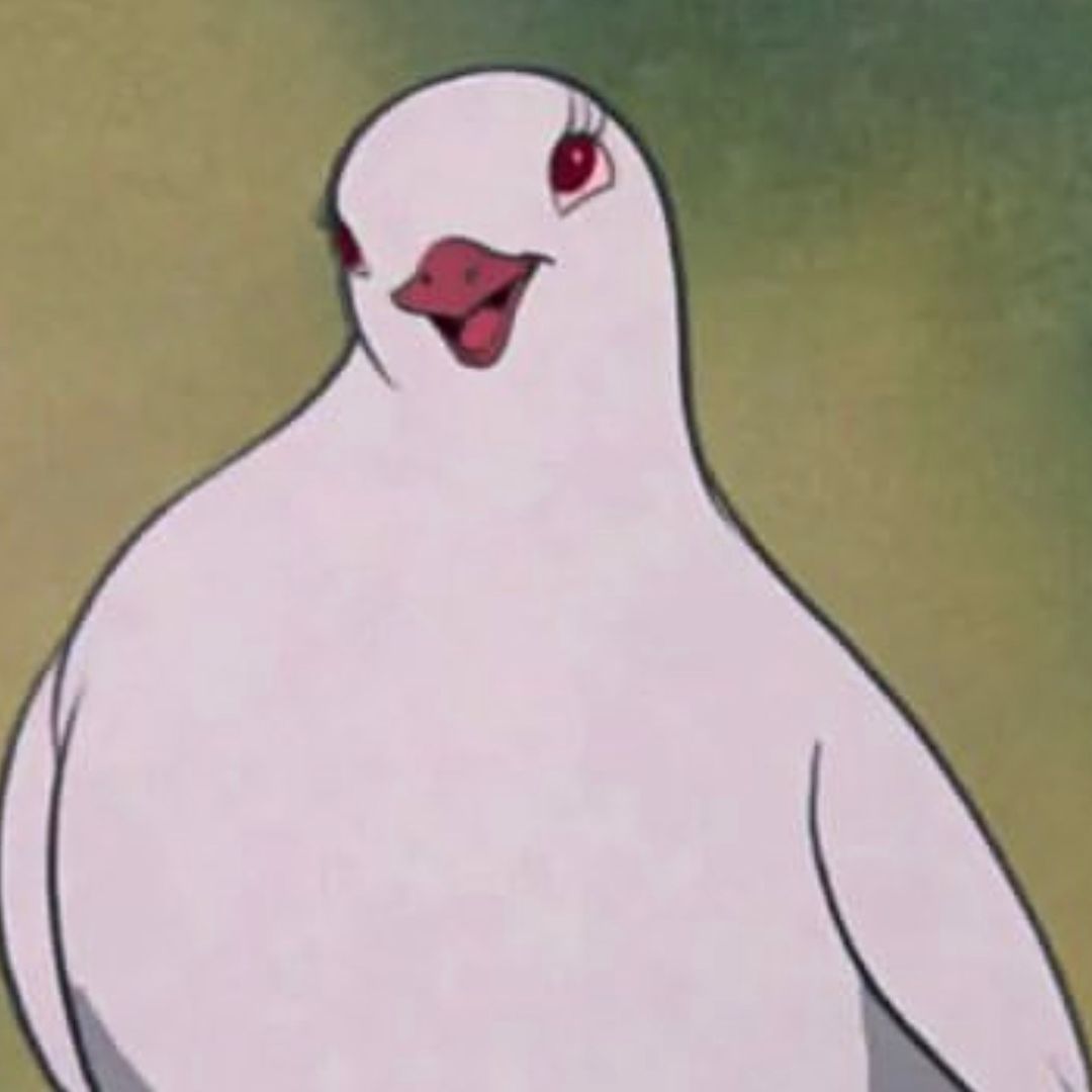 getinthefastlane avatar