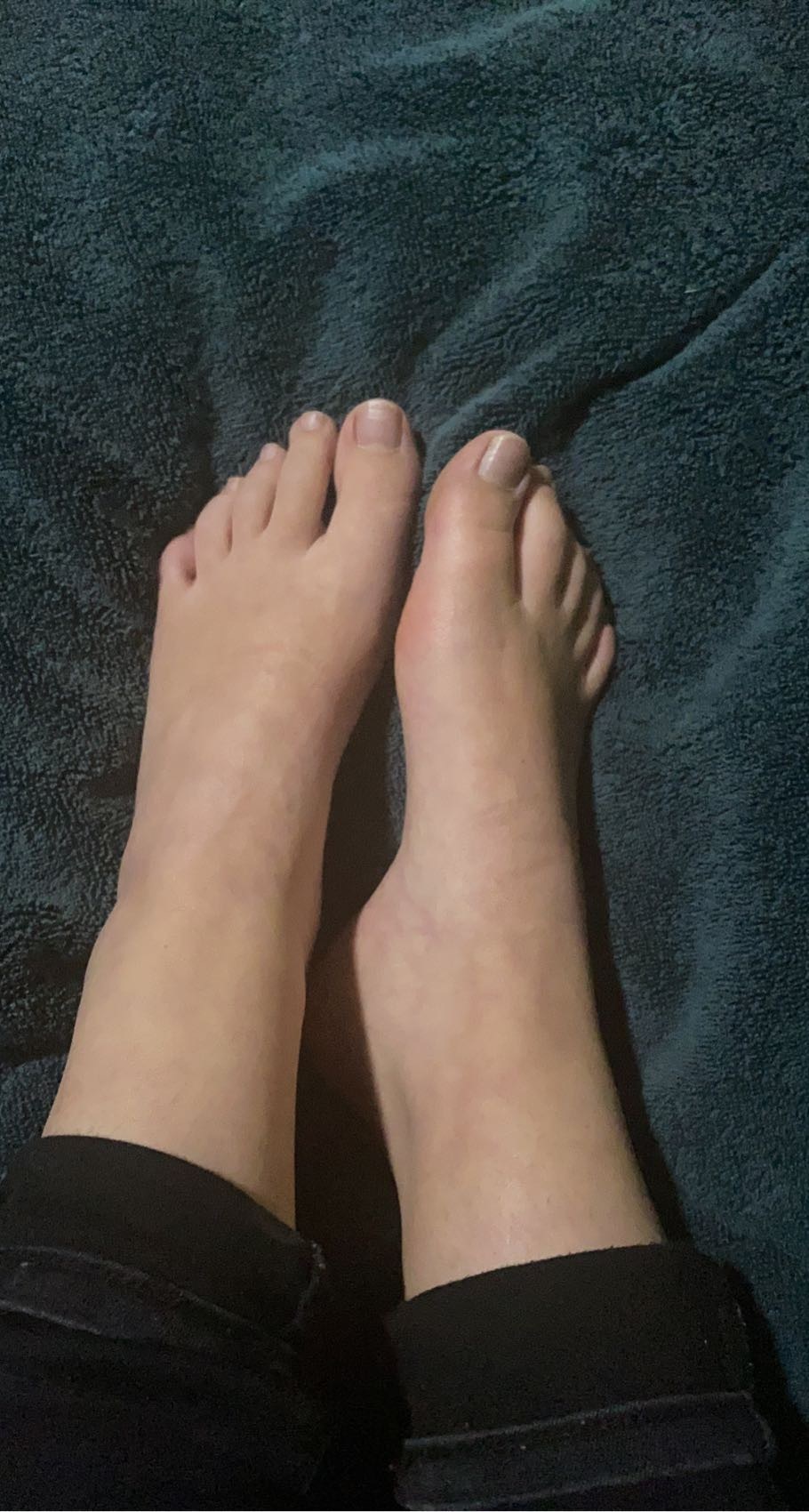 feebeesfeet