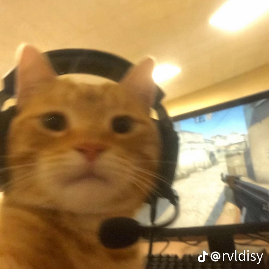 zoieburgh3r avatar